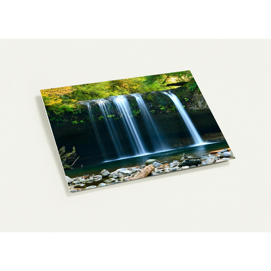 d100b34a-5165-4d60-b0e1-64ae39f5a307