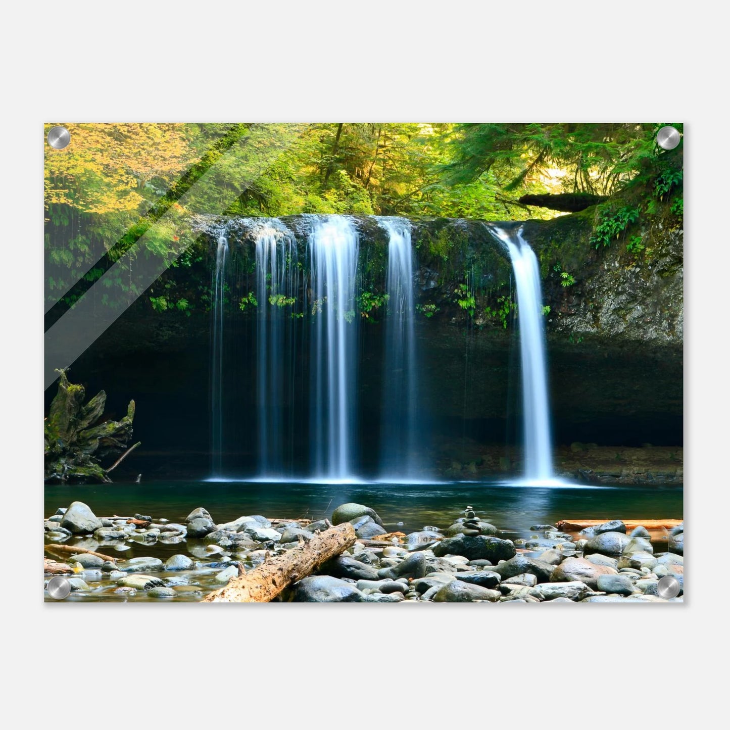 d5305ef1-1cf9-4bdd-89c1-9dd56e0e0590