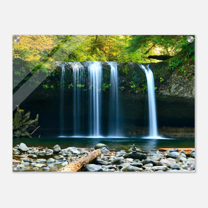 d5305ef1-1cf9-4bdd-89c1-9dd56e0e0590