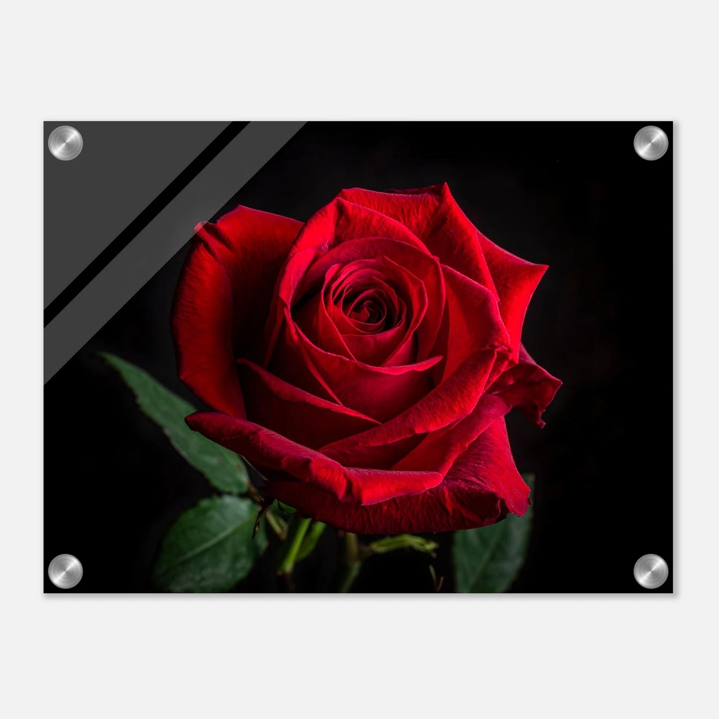 dadbf033-592b-4290-a051-3745adbacdbc