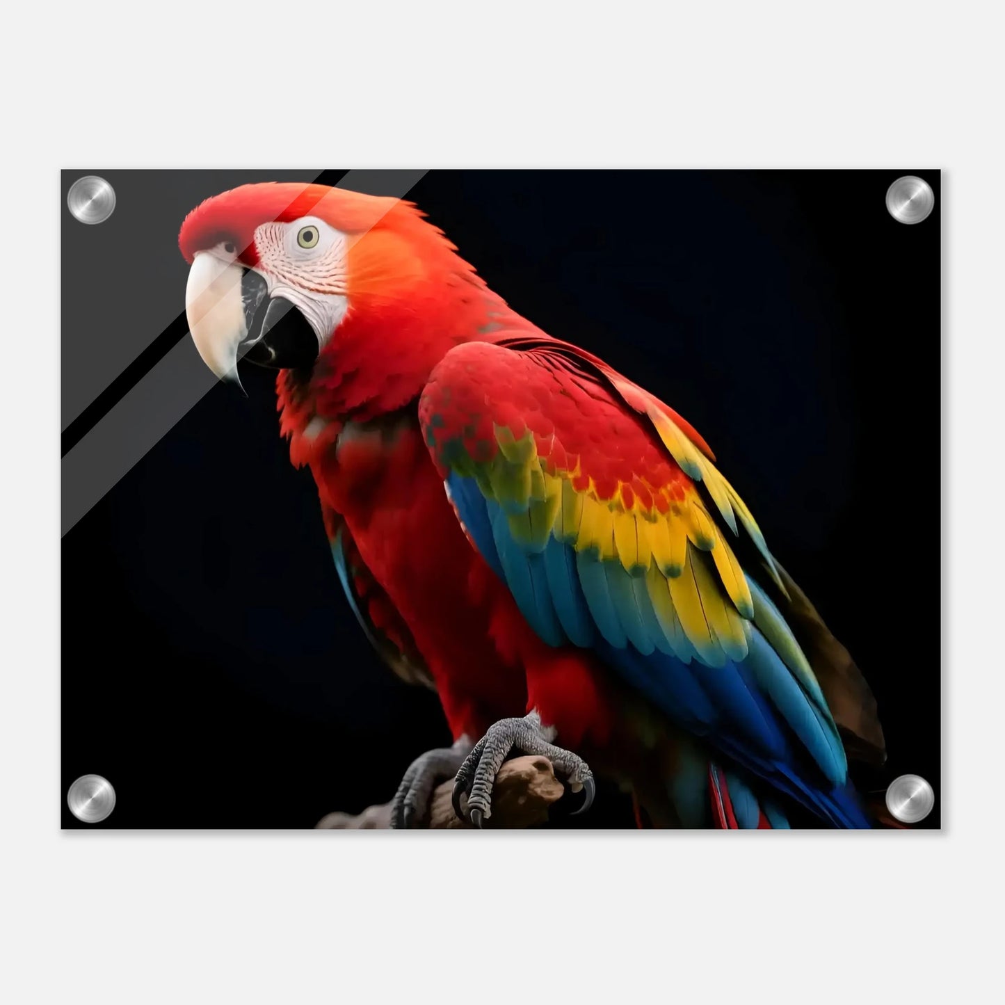 e3bfa21b-b344-4bf0-a17e-8bc51e3dfaa5