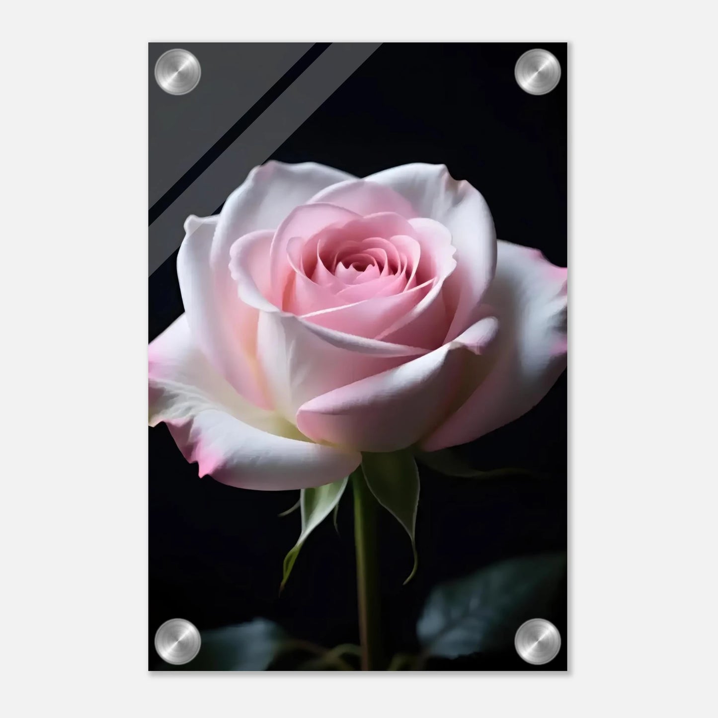 e6d2bb15-8189-46ae-a60a-85d9f9becce6