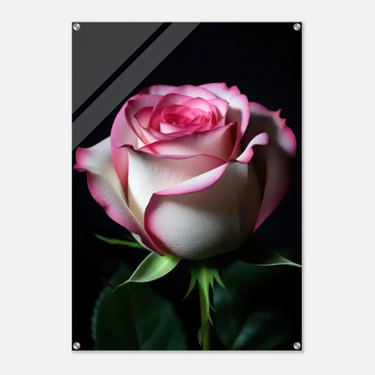 eaac9008-ada4-4012-8231-aafe88005695