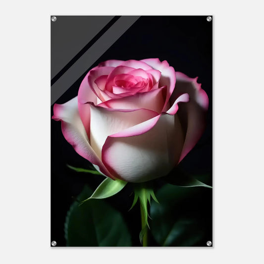 eaac9008-ada4-4012-8231-aafe88005695