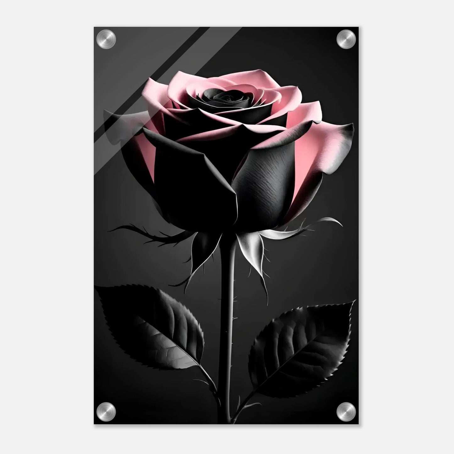 f564d503-4984-4496-b261-717475c0ea91