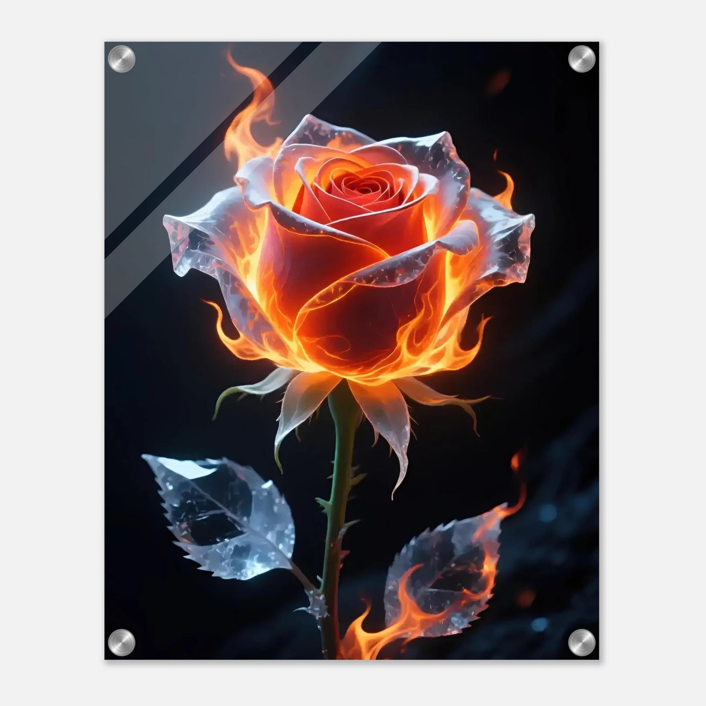 fb76888f-1a91-42d1-810c-a7f43a02bc16